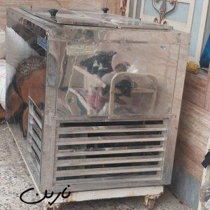 فریزر چهاردرب